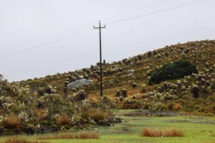 Sabana de Bogotá: hoja de ruta ambiental entrará a recta final con efectos en inversiones
